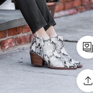 Snake print western booties by Sam Edelman